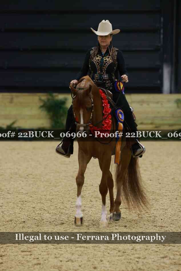 Proof 22BUCK_06966