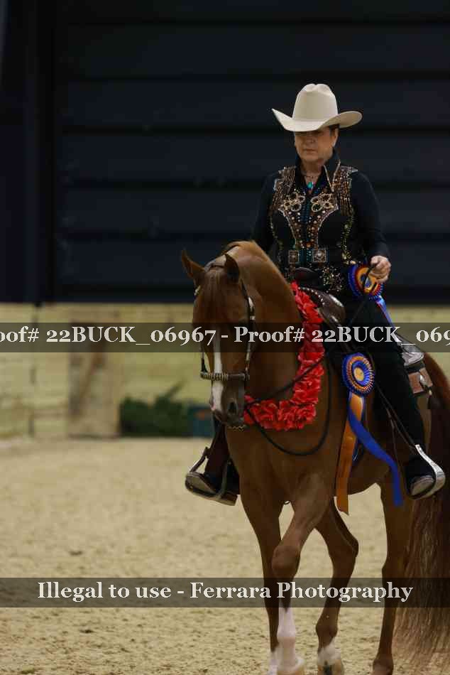 Proof 22BUCK_06967