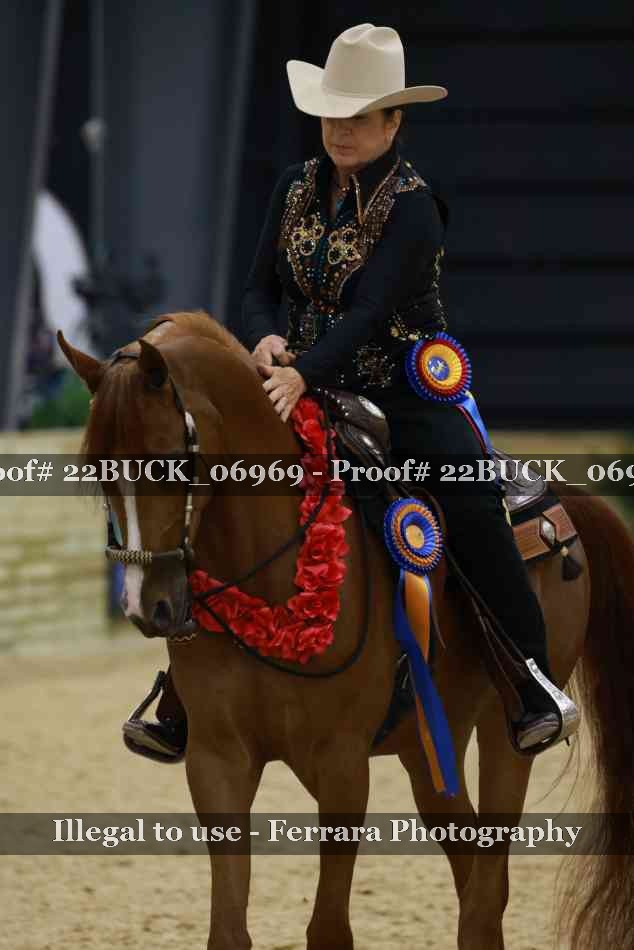 Proof 22BUCK_06969