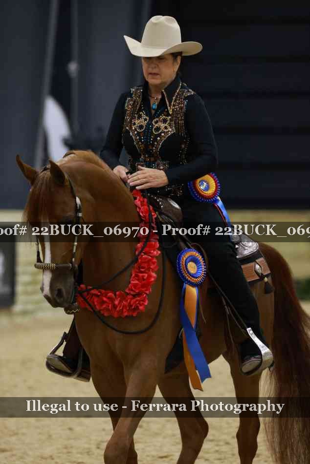 Proof 22BUCK_06970