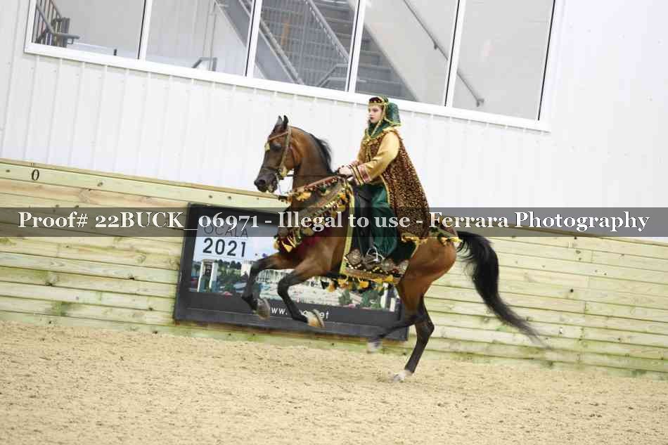 Proof 22BUCK_06971