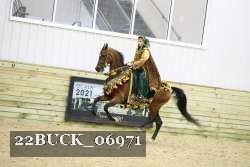 22BUCK_06971 proof