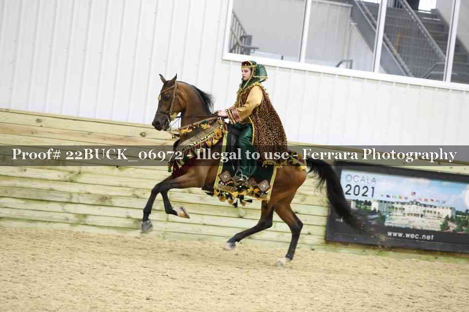 Proof 22BUCK_06972