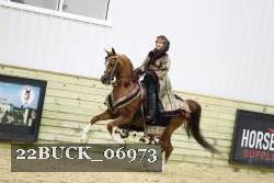 22BUCK_06973 proof