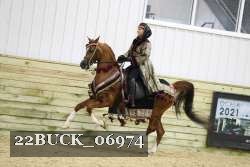 22BUCK_06974 proof