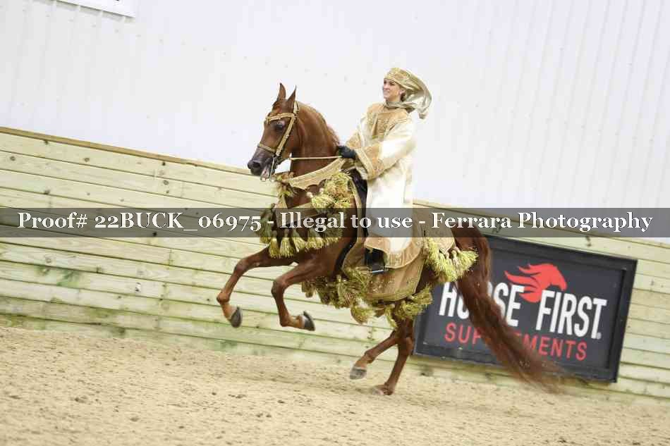 Proof 22BUCK_06975