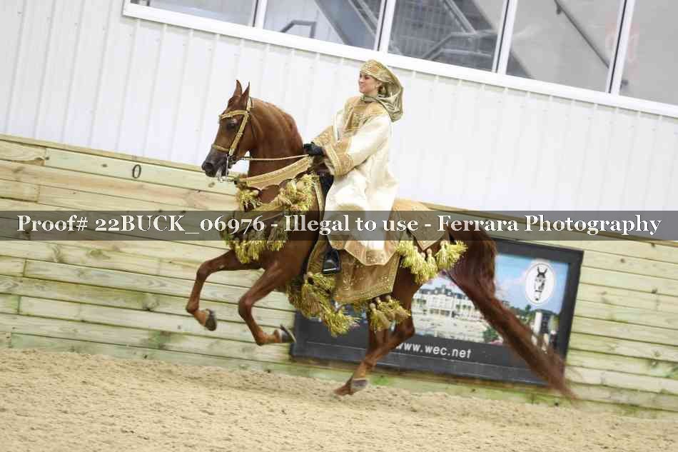 Proof 22BUCK_06976