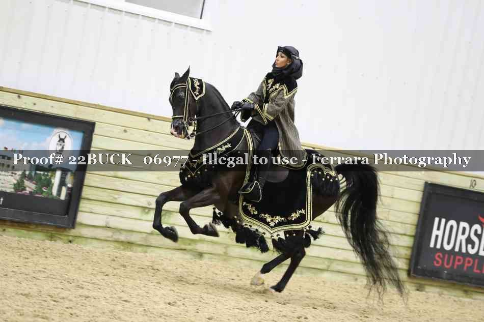 Proof 22BUCK_06977