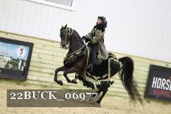 22BUCK_06977 proof