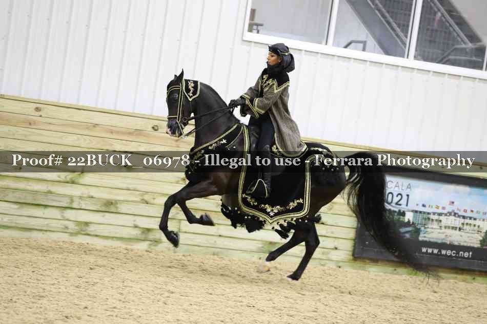 Proof 22BUCK_06978