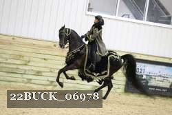 22BUCK_06978 proof