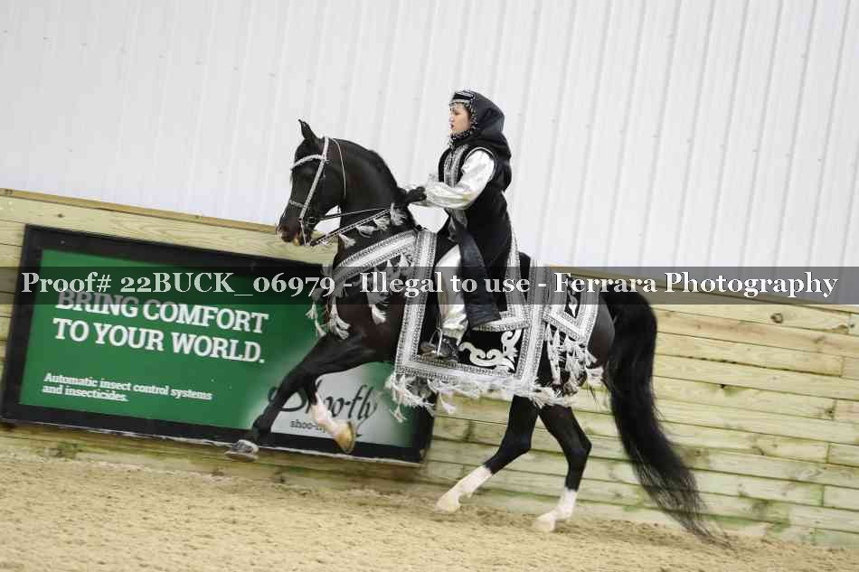 Proof 22BUCK_06979