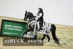 22BUCK_06979 proof