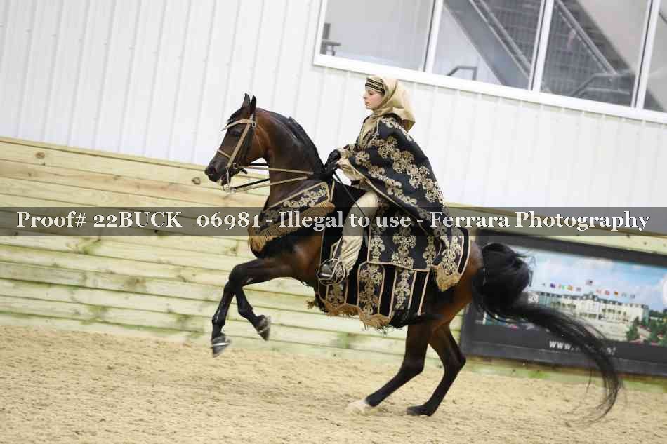 Proof 22BUCK_06981