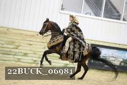 22BUCK_06981 proof