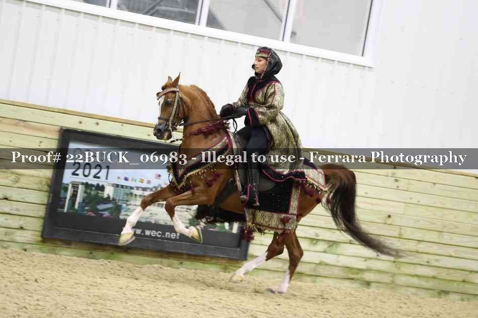 Proof 22BUCK_06983