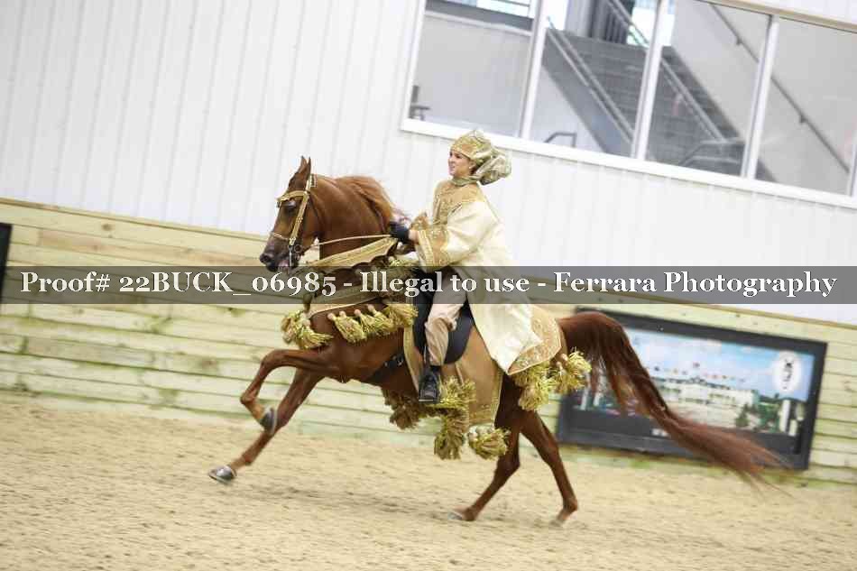 Proof 22BUCK_06985