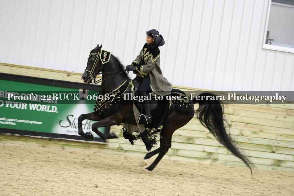 Proof 22BUCK_06987