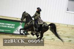 22BUCK_06987 proof