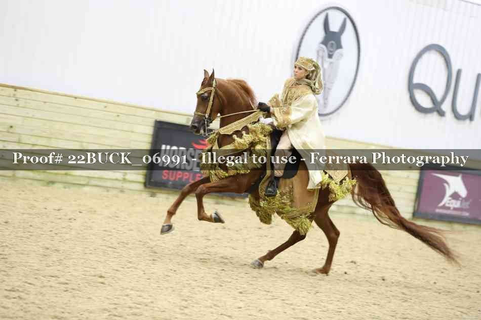 Proof 22BUCK_06991