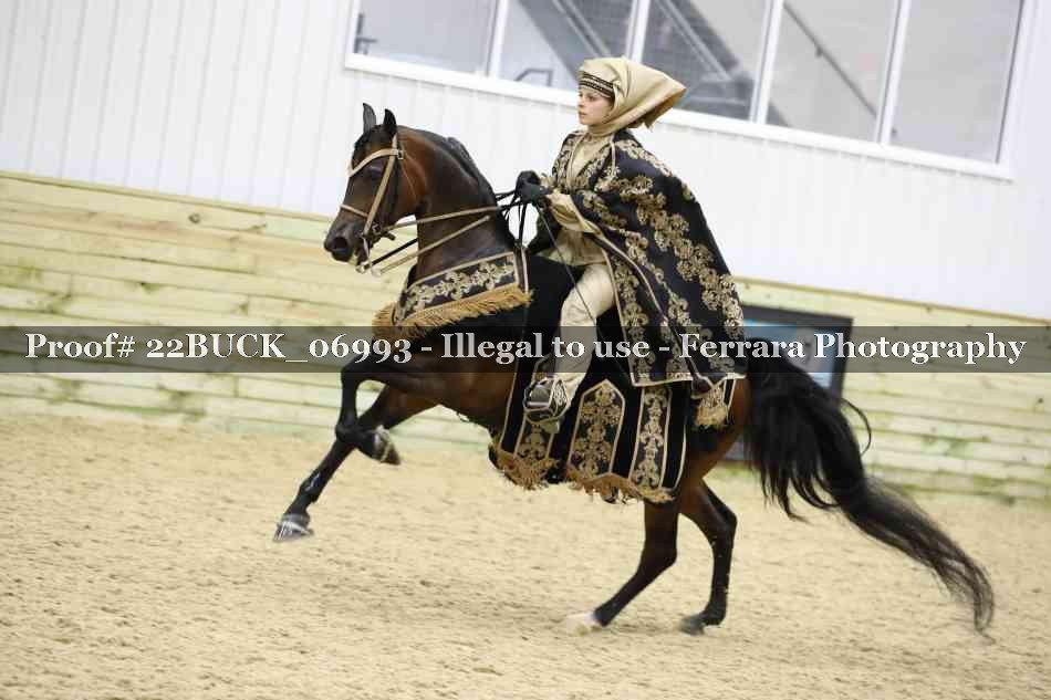 Proof 22BUCK_06993