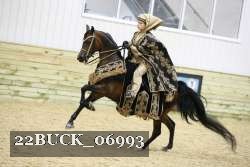 22BUCK_06993 proof