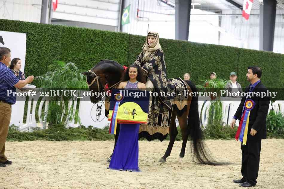 Proof 22BUCK_06996