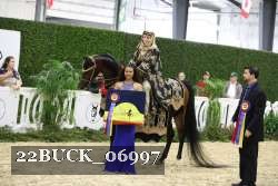 22BUCK_06997 proof