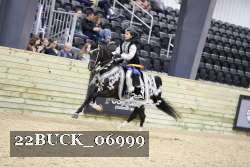 22BUCK_06999 proof