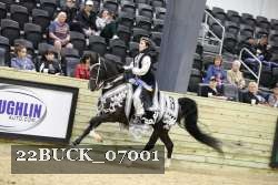 22BUCK_07001 proof