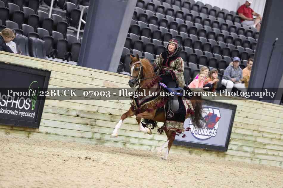 Proof 22BUCK_07003