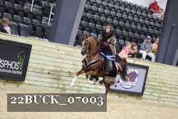 22BUCK_07003 proof