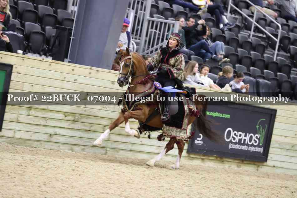 Proof 22BUCK_07004