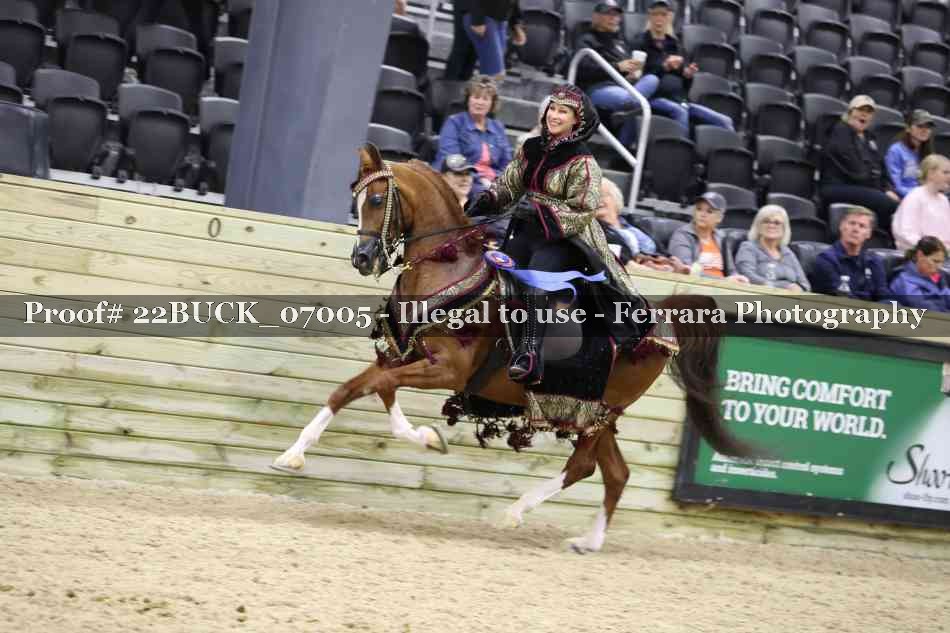 Proof 22BUCK_07005