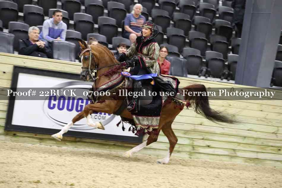 Proof 22BUCK_07006