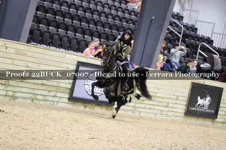 Proof 22BUCK_07007