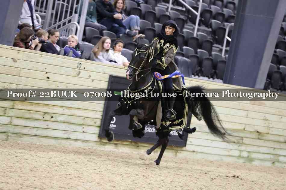 Proof 22BUCK_07008