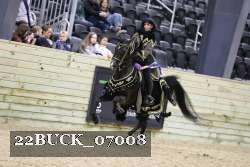 22BUCK_07008 proof