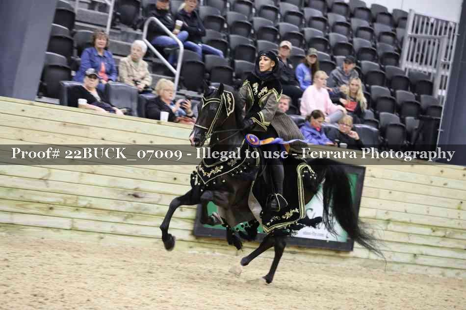 Proof 22BUCK_07009