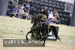 22BUCK_07009 proof
