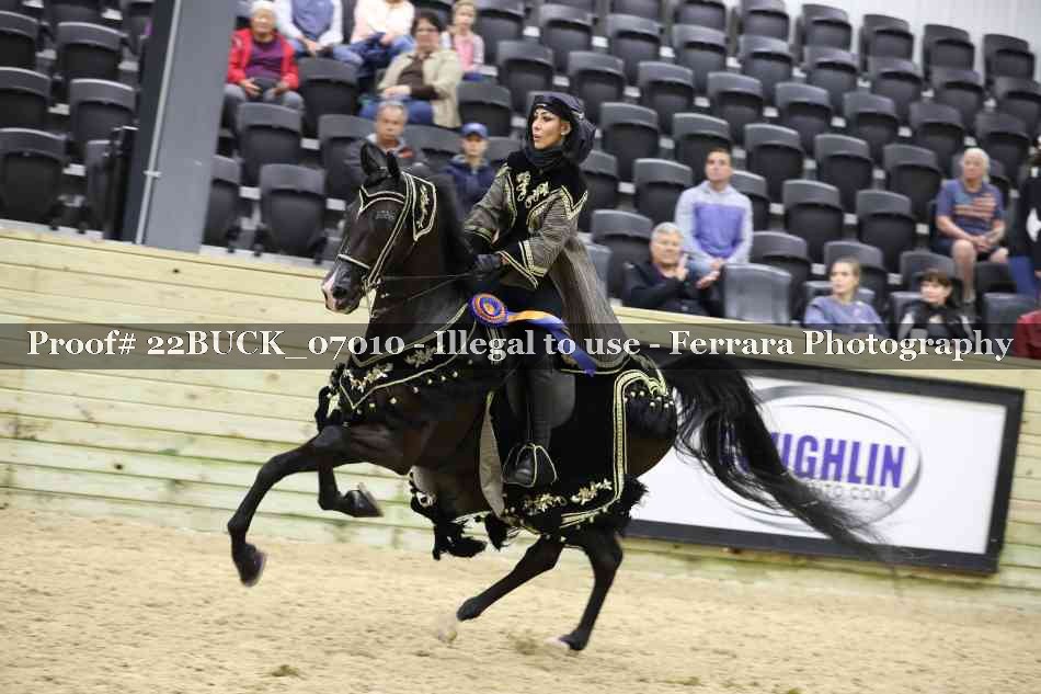 Proof 22BUCK_07010