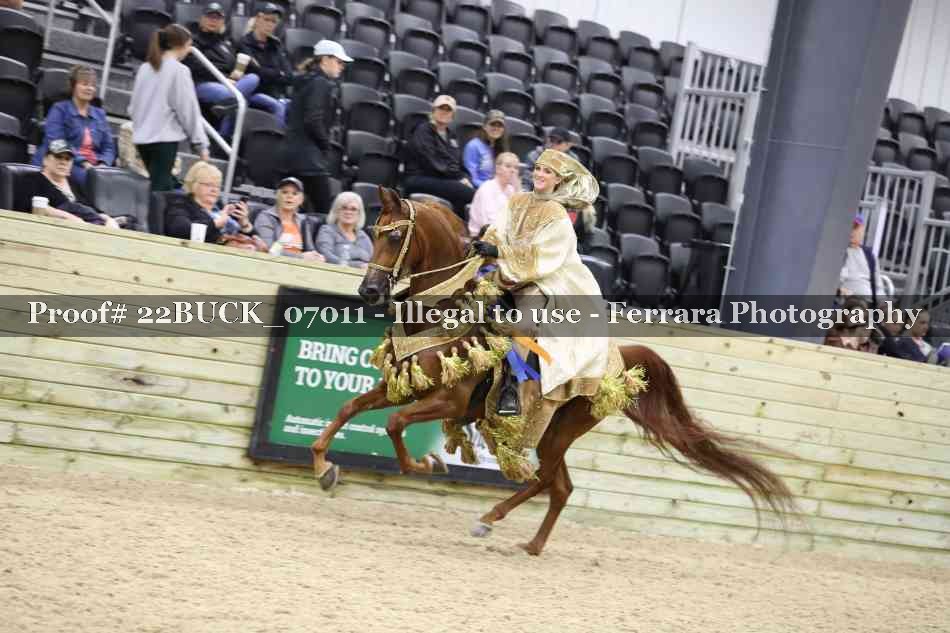 Proof 22BUCK_07011