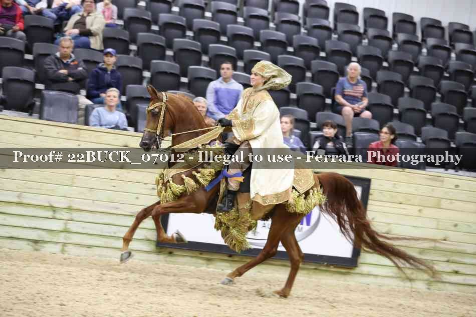 Proof 22BUCK_07012