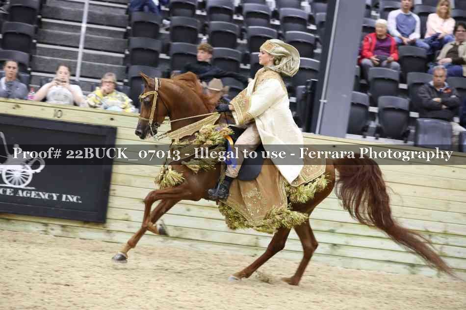 Proof 22BUCK_07013