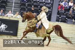 22BUCK_07013 proof