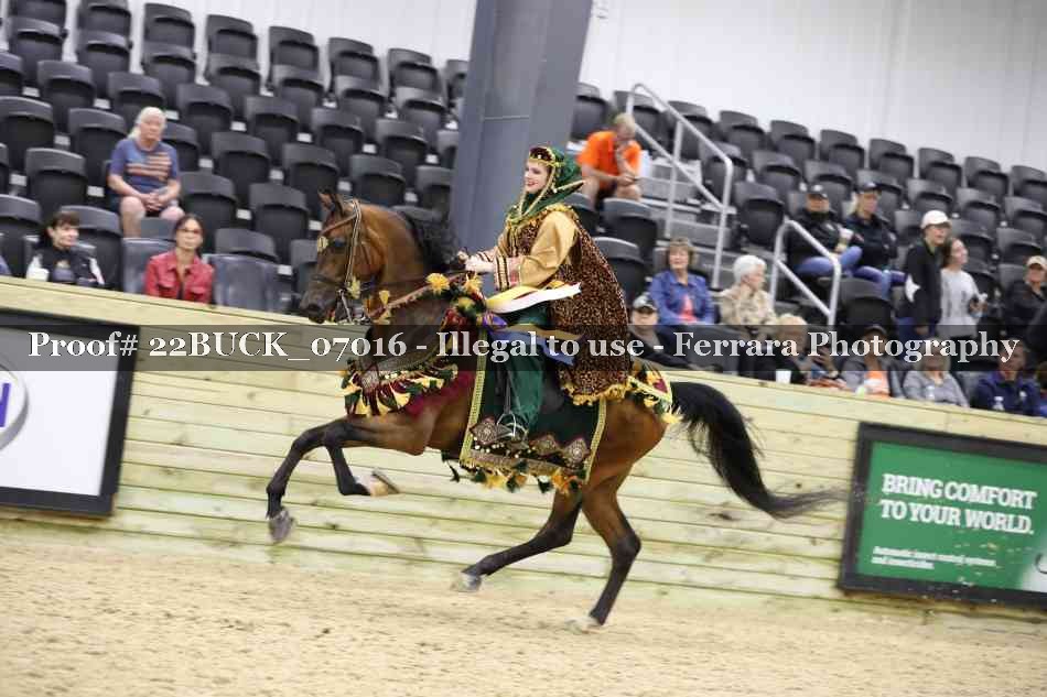 Proof 22BUCK_07016