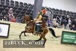 22BUCK_07016 proof