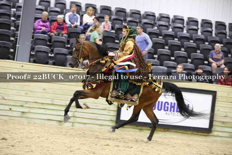 Proof 22BUCK_07017