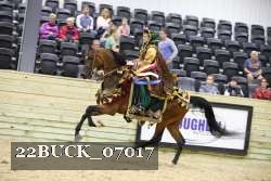22BUCK_07017 proof