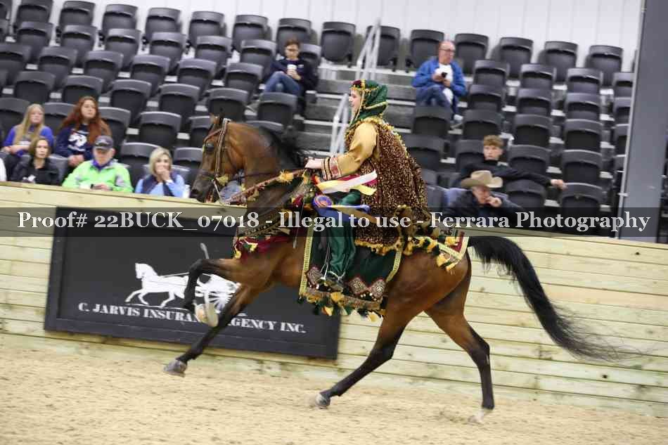 Proof 22BUCK_07018
